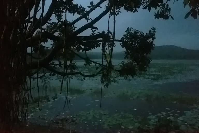 amravati rain