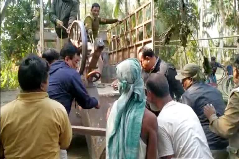 Operation against illegal wood mill at juria nagaon etv bharat news