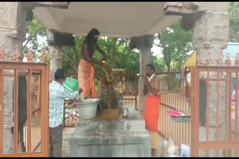 மகா நந்திக்கு பூஜை