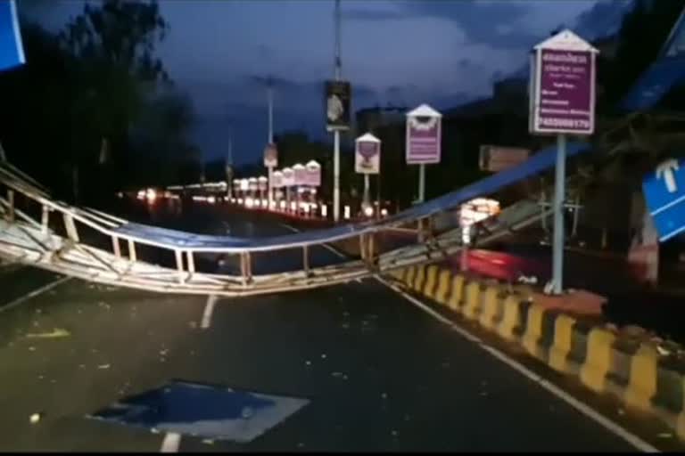 tree fallen on road in mathura