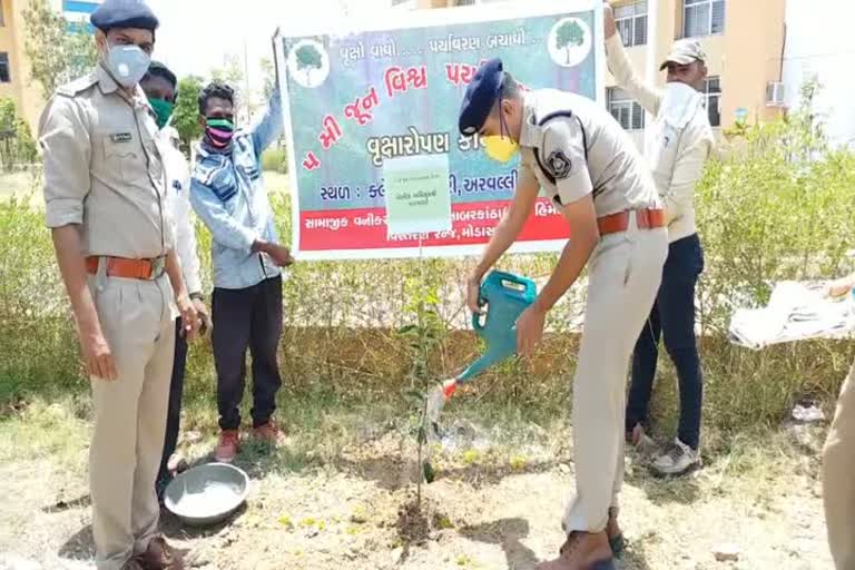 અરવલ્લી જિલ્લામાં  46માં  વિશ્વ પર્યાવરણ દિવસની  ઉજવણી કરવામાં આવી