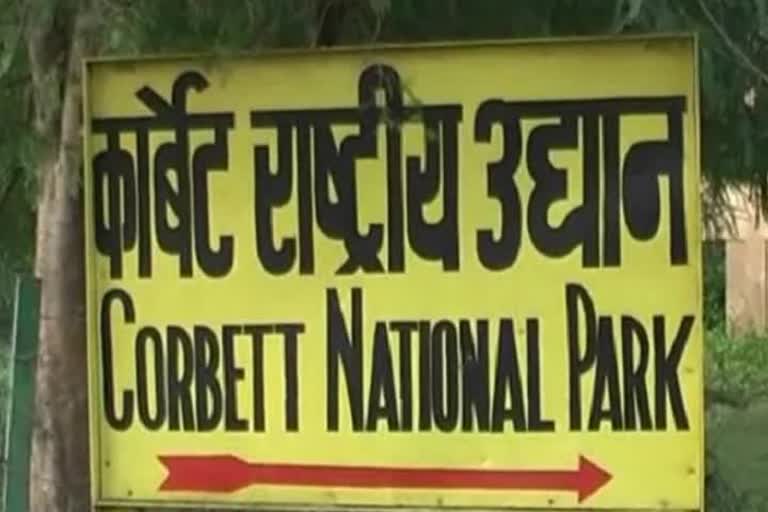 corbett national park latest update