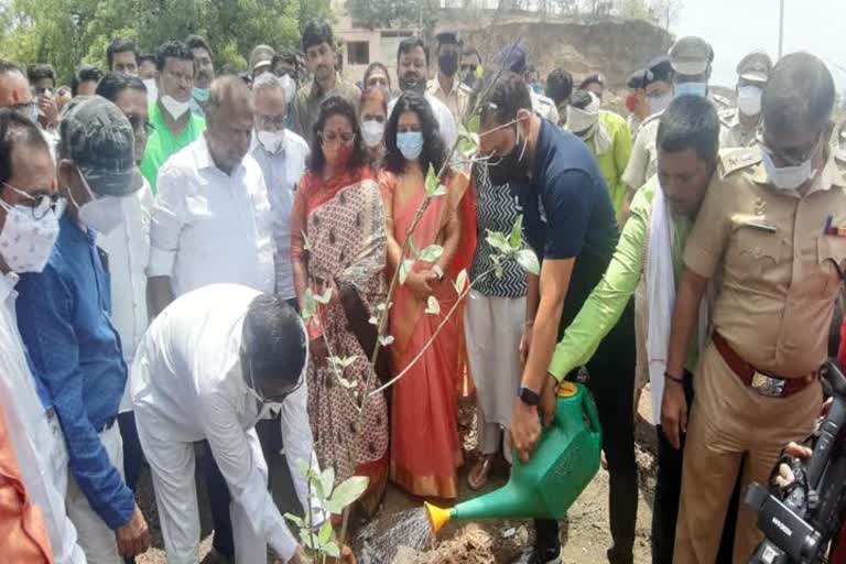 नांदेड वृक्षारोपण न्यूज