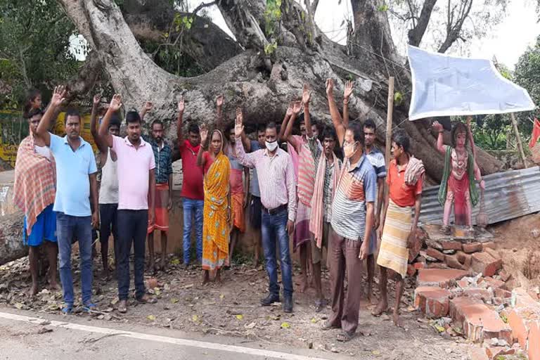 people protest to remove broken tree from road in dumka, दुमका में सड़क से पेड़ हटाने के लिए प्रदर्शन