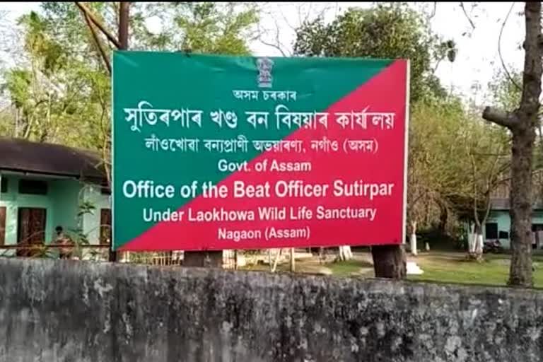 বন বিভাগৰ অভিযান