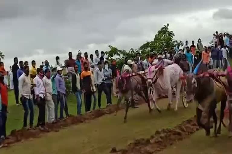 बैलगाडा शर्यंत