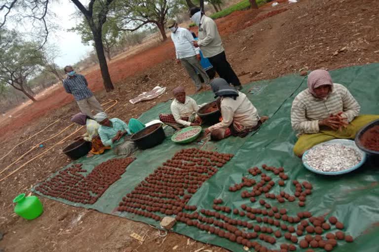  inspects production of seed balls at Banavasi Farm