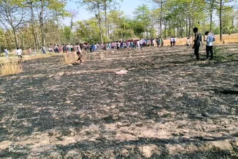 two bigha wheat crop caught fire in siwan