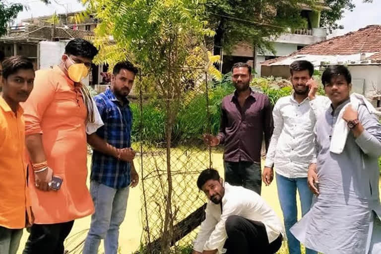 Karni sena did plantation