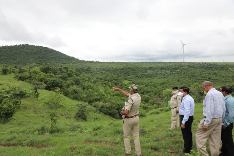 Collector inspected government land in shajapur