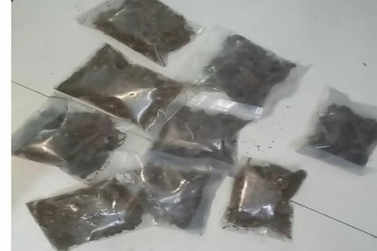 cannabis seized in Tiruvallur