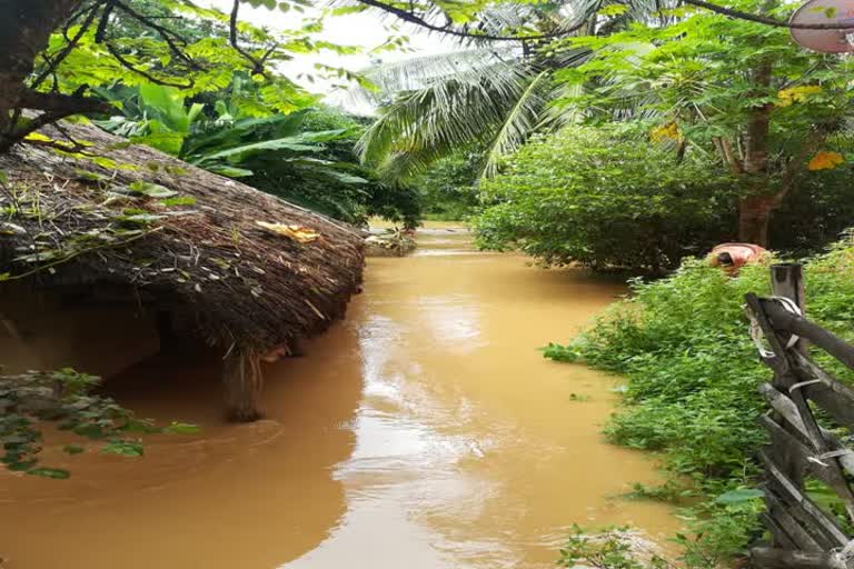 Odisha flood 