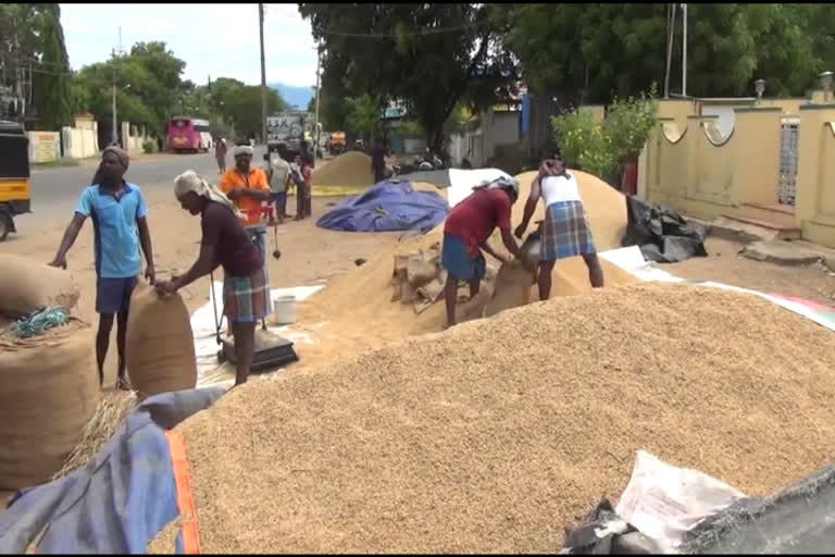 paddy procurement centers should be opened immediately Viruthunagar rajapayalam farmers request to TN Govt