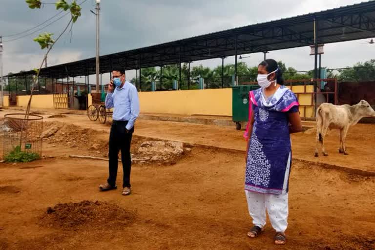 Dung procurement center of Chhattisgarh