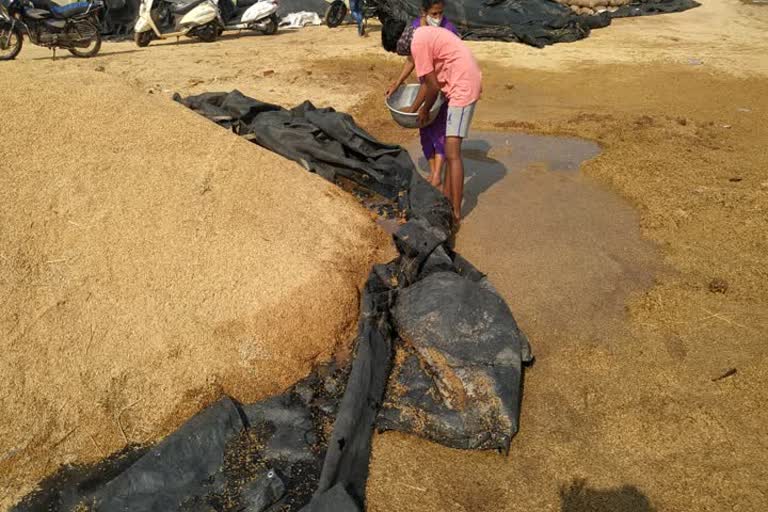 severe damage to farmers due to rain in Yadadri bhuvanagiri district