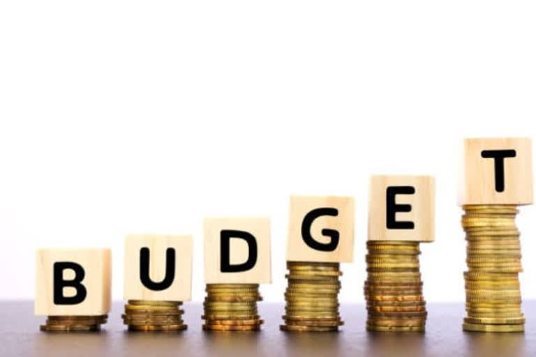 Expert advice to the center on the budget 2021-22