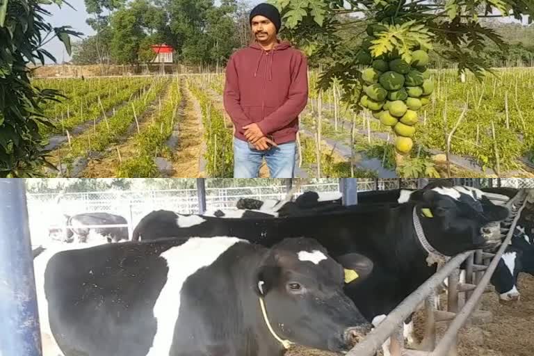 A young man studying in Oxford is doing Animal husbandry OR MODERN farming in Ambikapur