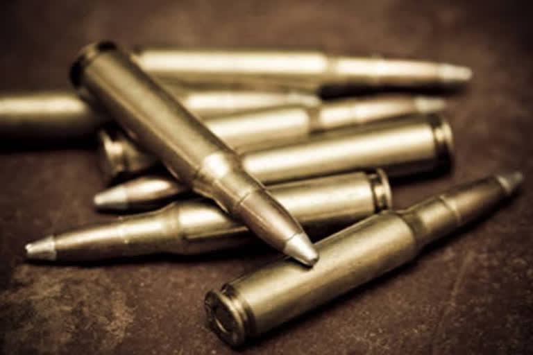 CISF nabs man with 20 bullets at Delhi's IGI airport  ഡൽഹി വിമാനത്താവളത്തിൽ വെടിയുണ്ടകളുമായി യാത്രക്കാരൻ പിടിയിൽ  ന്യൂഡൽഹി  ഇന്ദിരാഗാന്ധി അന്താരാഷ്ട്ര വിമാനത്താവളം  igi airport delhi