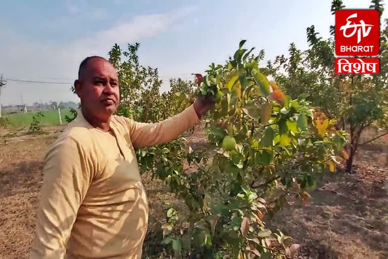 kaithal farmers organic farming