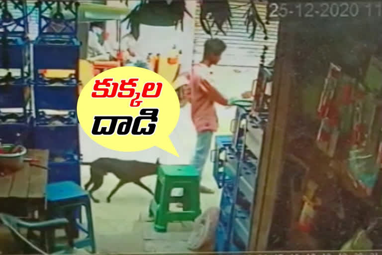 Dog attacks people suffer at ramannapet warangal