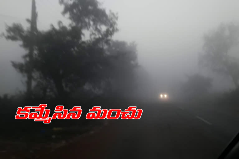 huge amount of fog  vikarabad  vehicles driving problem in that situation