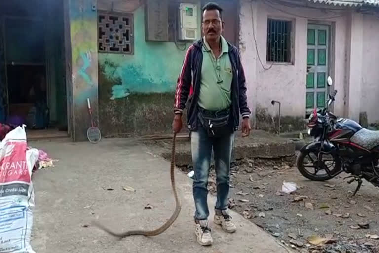 wild life activist in kalyan