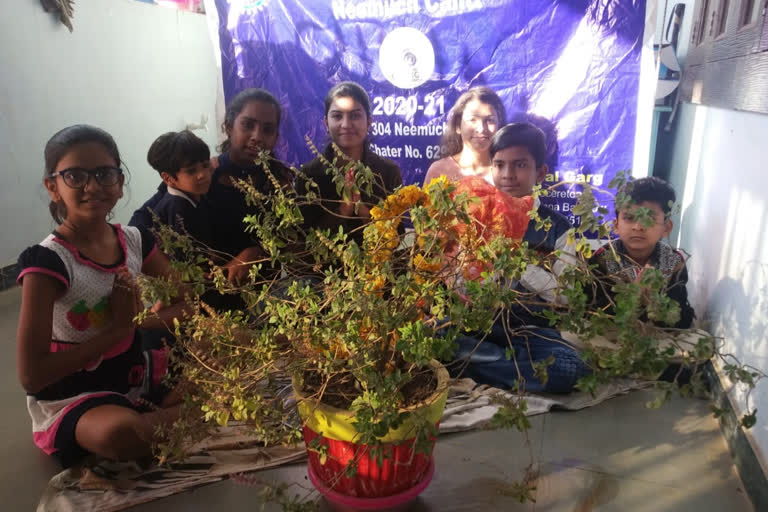 Tulsi Pujan Diwas organized