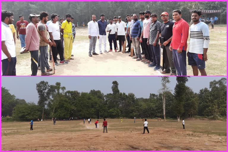 district level cricket games