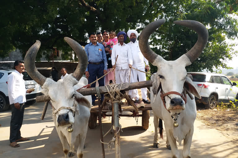 કોંગ્રેસ પ્રમુખનું આહવાનઃ "ચાલો ખેતરે, ચાલો ગામડે" કાર્યક્રમ દ્વારા ખેડૂતો સાથે કરો ચર્ચા