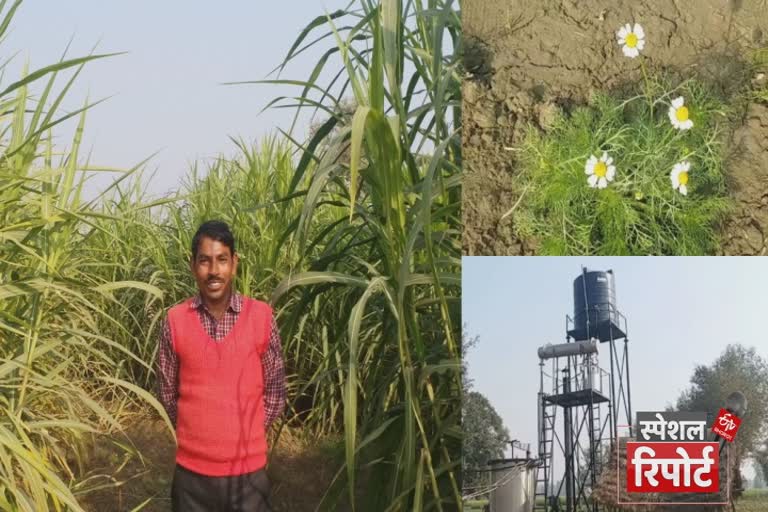 story of farmer brajmohan