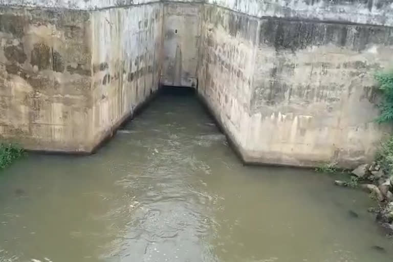 pedderu reservoir water release