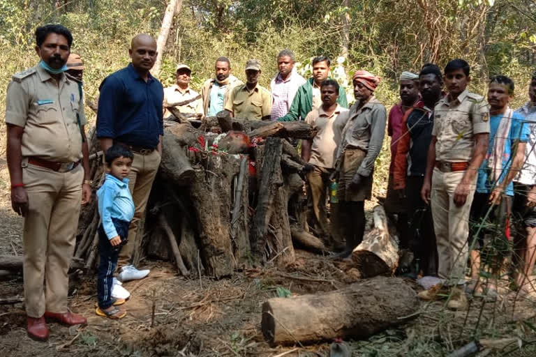 Elephant died because of Preterm birth