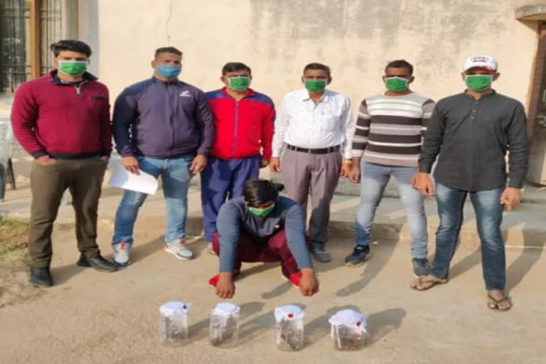 youth-arrested-with-illegal-weapon-in-mahendragarh