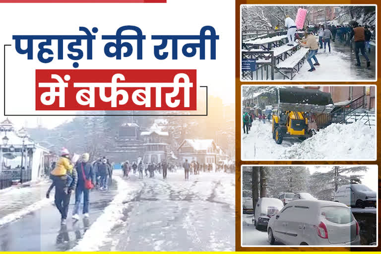 snowfall in shimla