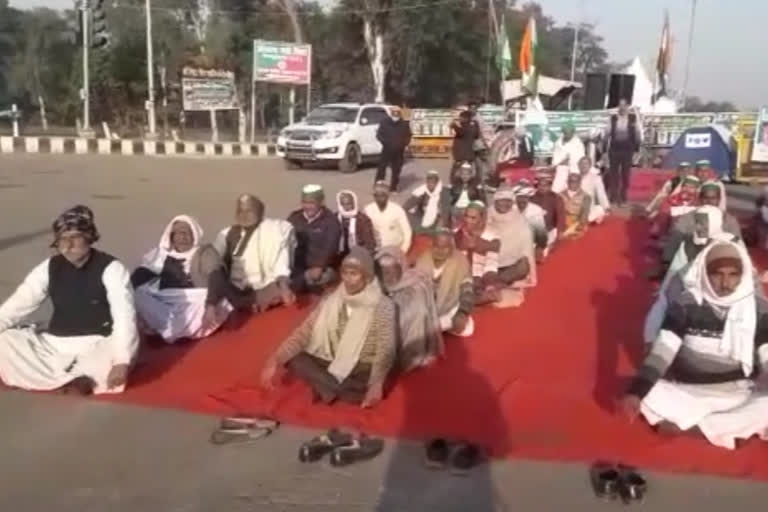 Farmers did yoga on the chilla border of Noida