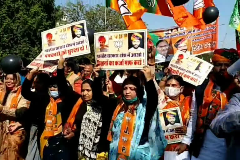 भाजपा ओबीसी मोर्चा ने किया विरोध प्रदर्शन, BJP OBC Morcha protested