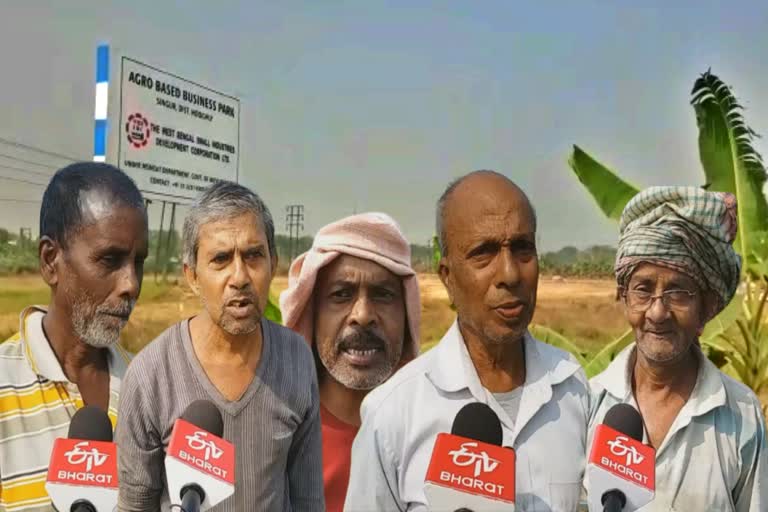 singur farmers