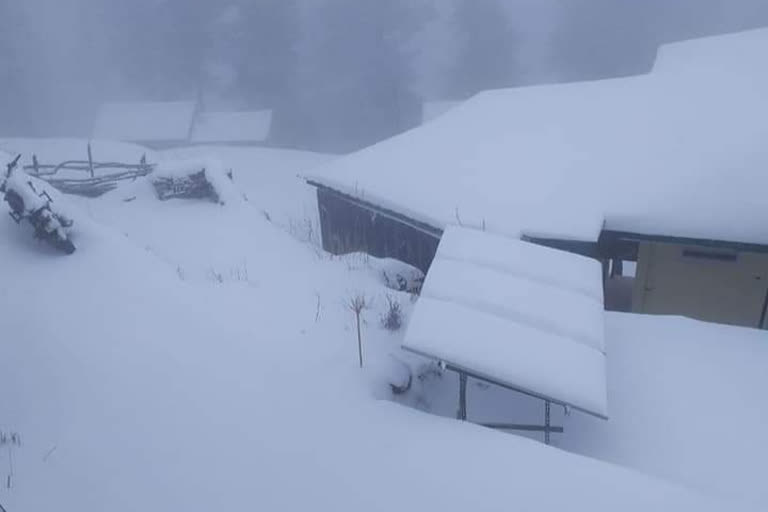 Snowfall in Rohru