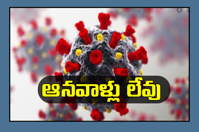 new-variant-of-the-corona-virus-have-not-yet-appeared-in-andhrapradesh