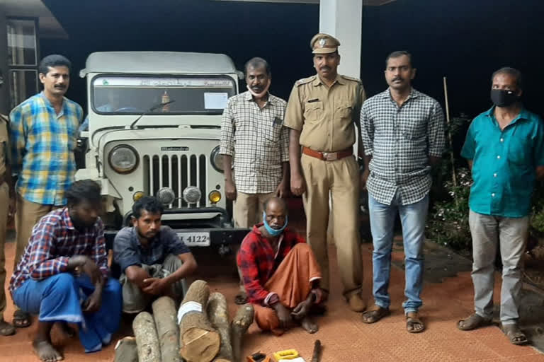 Three arrested for sandalwood smuggling  ചന്ദനക്കടത്ത് മൂന്ന് പേര്‍ അറസ്റ്റില്‍  ചന്ദനക്കടത്ത്  sandalwood smuggling news kerala