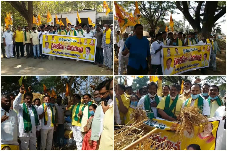 tdp Padayatra for farmers