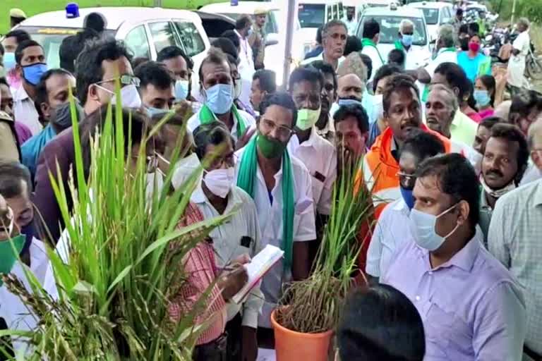 புயலால் பாதிக்கப்பட்ட நெற்பயிர்களைப் பார்வையிட்ட மத்தியக்குழு!