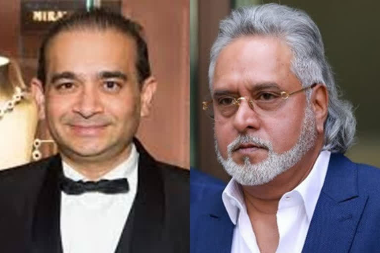 ED, CBI continued to battle for extradition of Mallya, Nirav