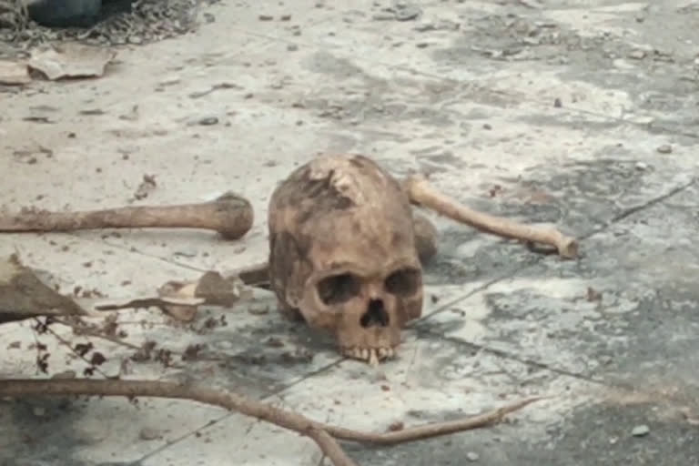 The skull was created at the Vertex commercial complex in as rao naonagar, Medchal District.