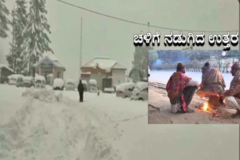 Coldwave Intensifies In North India