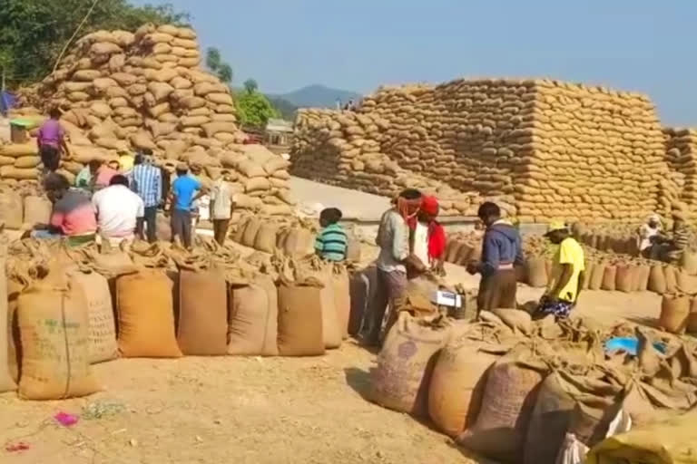 SDM confiscates illegal paddy in jashpur