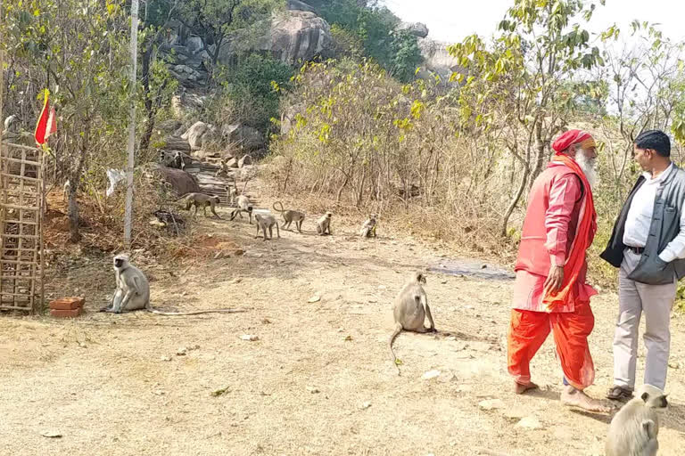 tourists gather for on New Year celebration