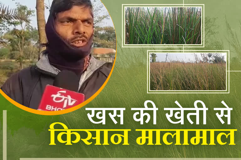 khas farming in muzaffarpur