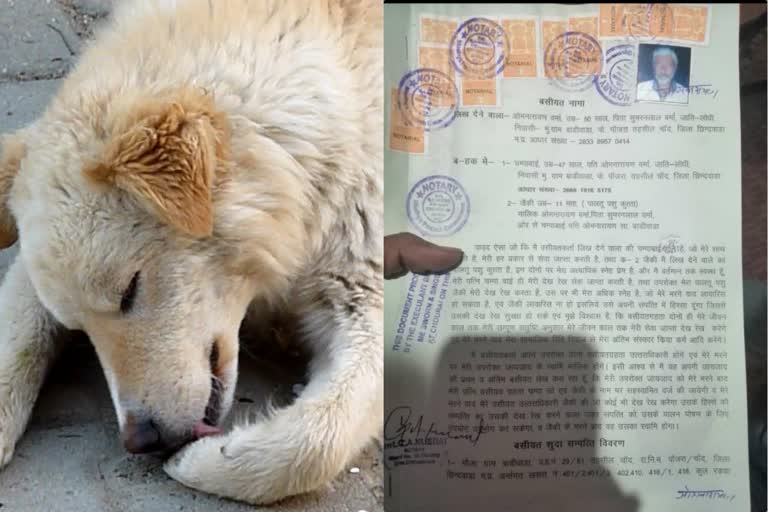 farmer-of-chhindwara-wrote-name-of-his-dog-in-will