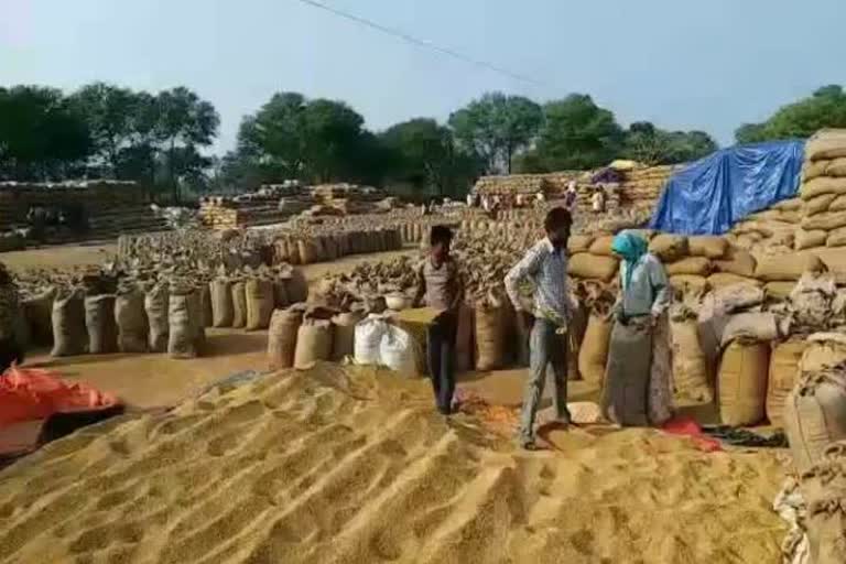 ongoing-politics-between-centre-and-state-govt-on-paddy-procurement-in-chhattisgarh